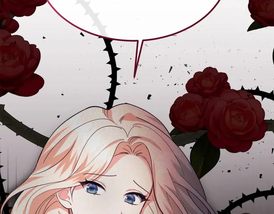 双胞胎姐姐的罢工宣言 第14话 偷脸贼 第224页