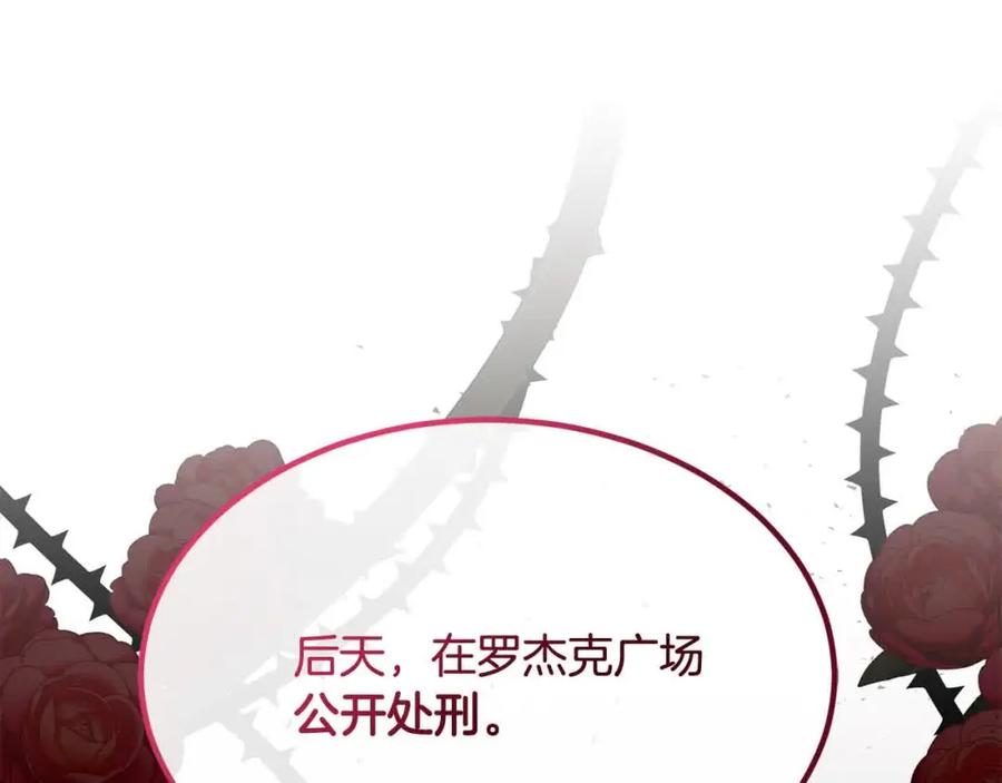双胞胎姐姐的罢工宣言 第14话 偷脸贼 第223页