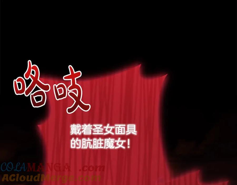 双胞胎姐姐的罢工宣言 第14话 偷脸贼 第237页