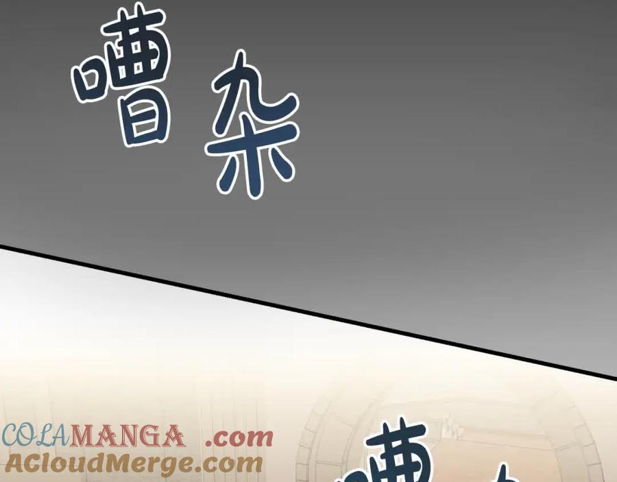双胞胎姐姐的罢工宣言 第14话 偷脸贼 第229页