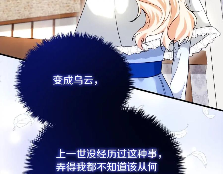 双胞胎姐姐的罢工宣言 第18话 偶遇二皇子 第78页
