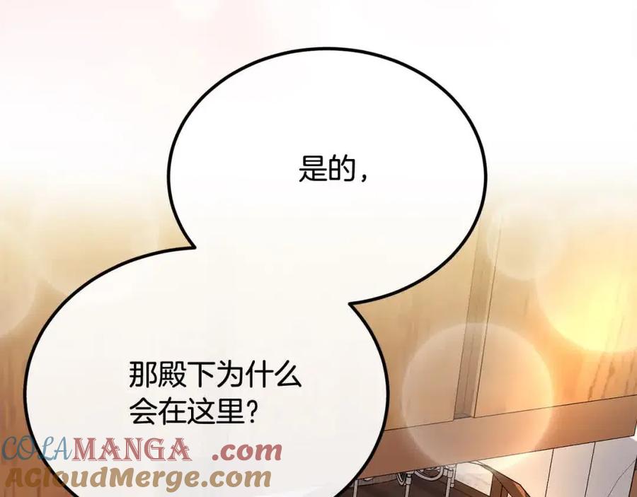 双胞胎姐姐的罢工宣言 第18话 偶遇二皇子 第101页