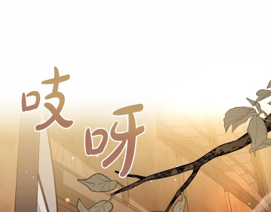 双胞胎姐姐的罢工宣言 第18话 偶遇二皇子 第71页