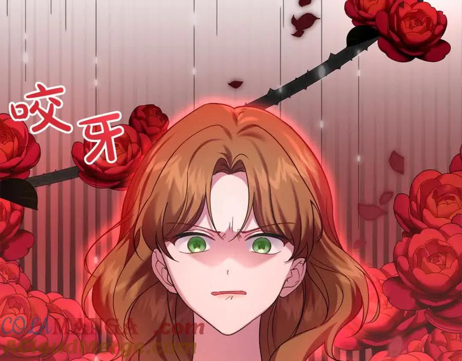 双胞胎姐姐的罢工宣言 第20话 二皇子的关心 第29页