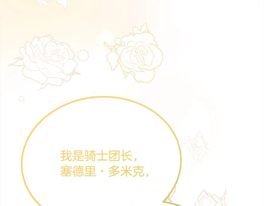 双胞胎姐姐的罢工宣言 第23话 新骑士团长 第30页
