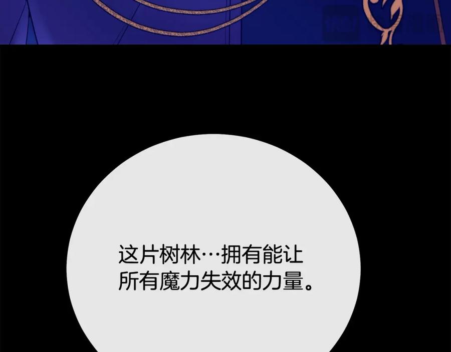 双胞胎姐姐的罢工宣言 第29话 皇子的承诺：有我在 第40页