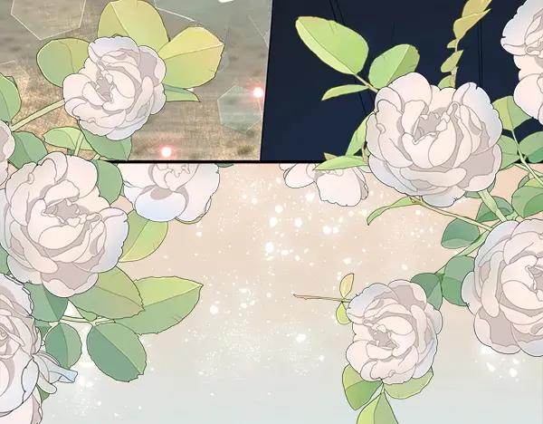 双胞胎姐姐的罢工宣言 第34话 不同的态度 第151页