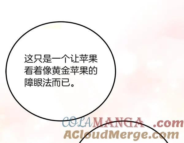 双胞胎姐姐的罢工宣言 第41话 如果没有你 第213页