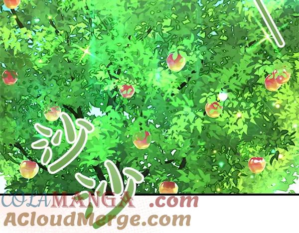 双胞胎姐姐的罢工宣言 第41话 如果没有你 第177页