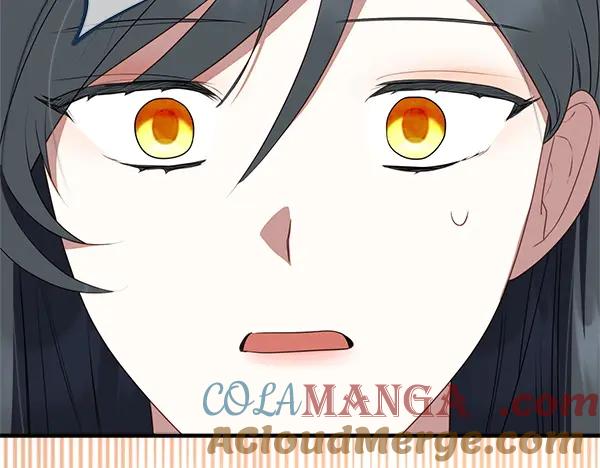 双胞胎姐姐的罢工宣言 第43话 两全其美 第229页