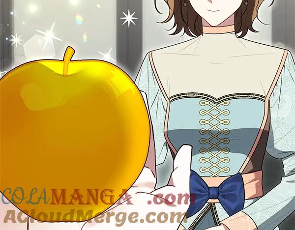 双胞胎姐姐的罢工宣言 第43话 两全其美 第101页