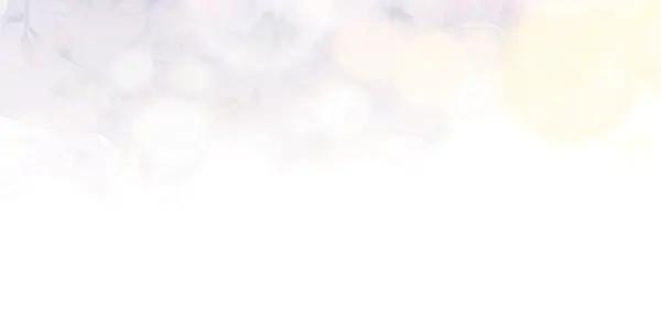 双胞胎姐姐的罢工宣言 第53话 圣女的祝福 第164页