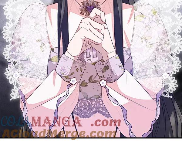双胞胎姐姐的罢工宣言 第53话 圣女的祝福 第117页