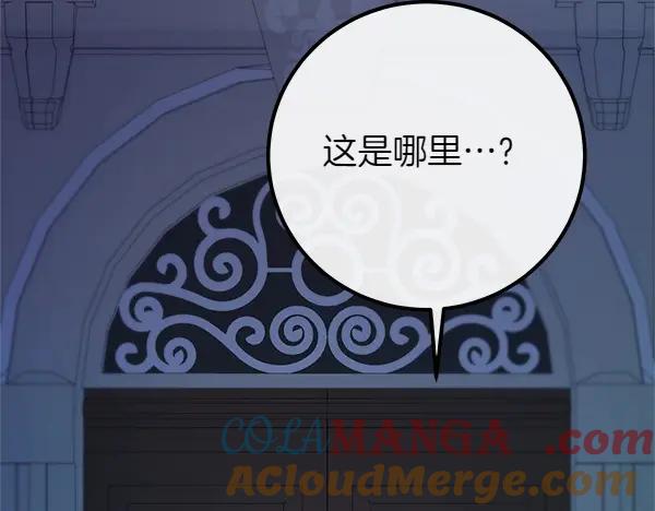 双胞胎姐姐的罢工宣言 第54话 回头 第117页
