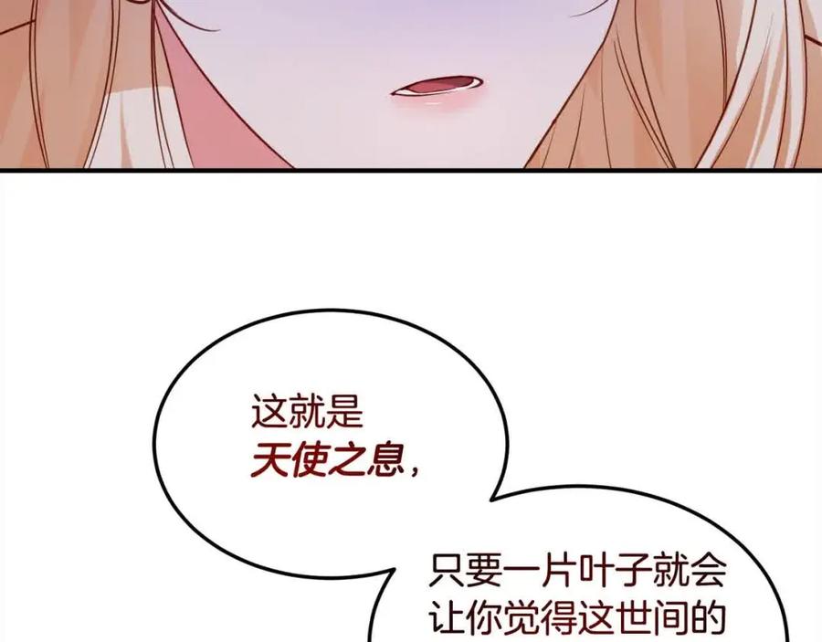 双胞胎姐姐的罢工宣言 第8话 天空之力 第152页