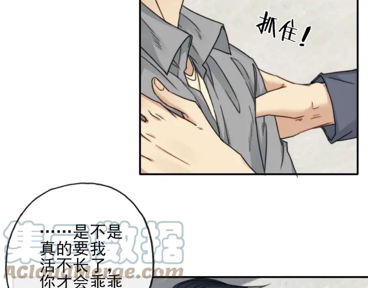 《双程》65 完结篇 冰雪将融 第22页
