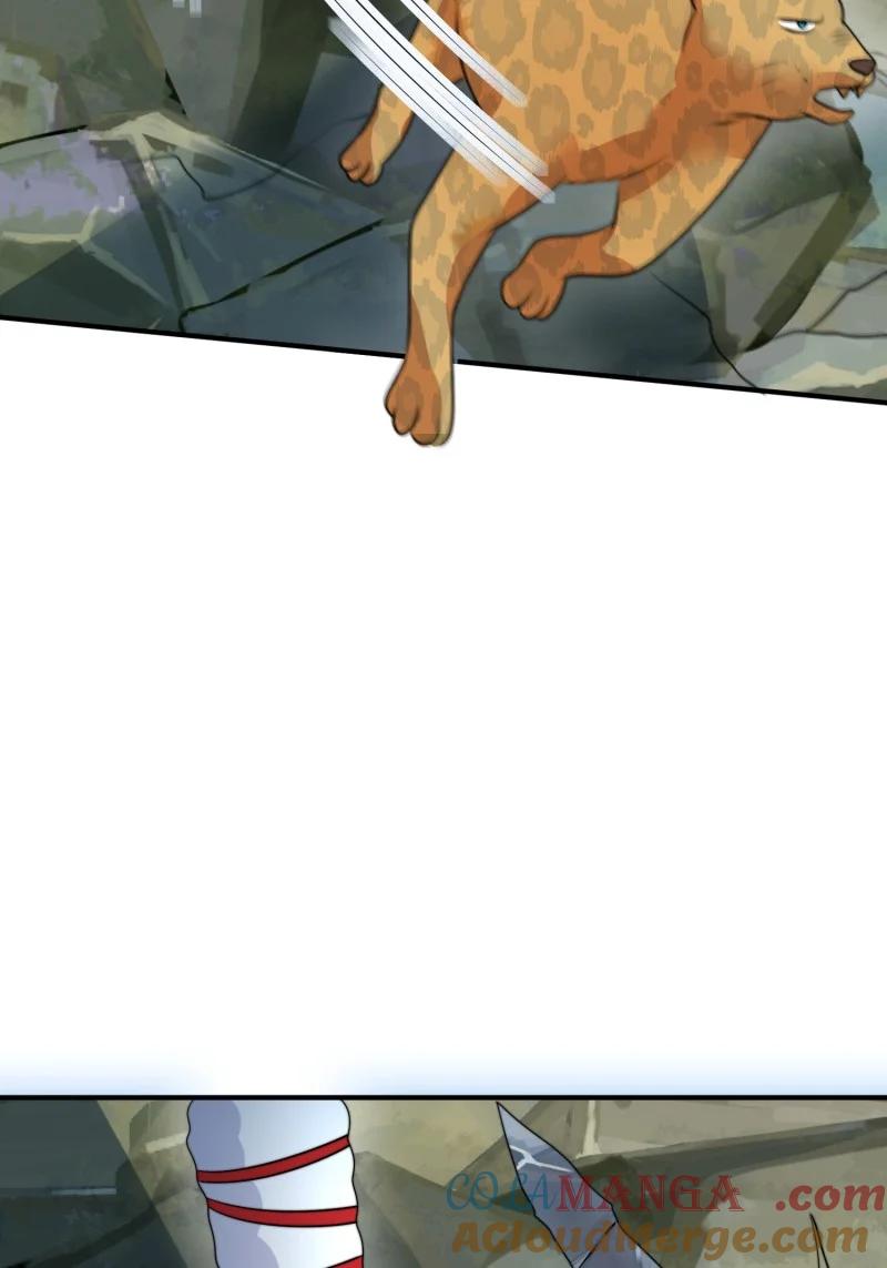 40.jpg