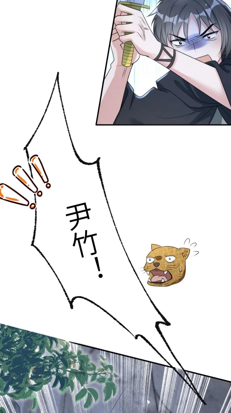 24.jpg