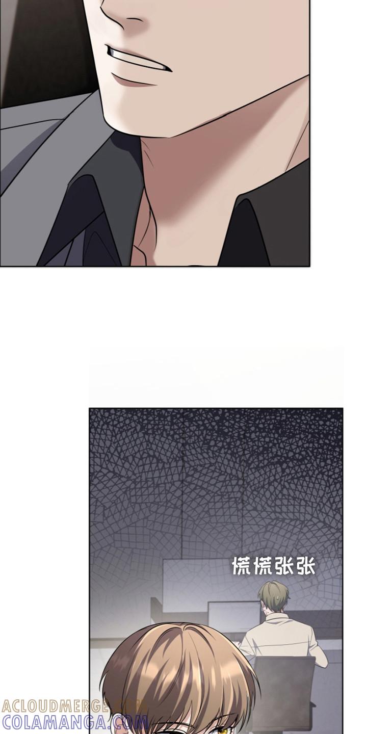 《双重血脉》第23章：传唤信号 第3页