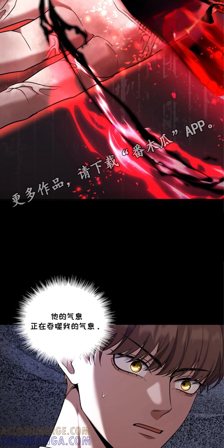 《双重血脉》第24章：暴走 第11页