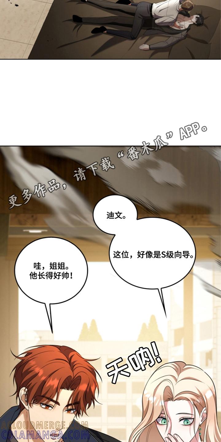 《双重血脉》第27章：辅助 第5页