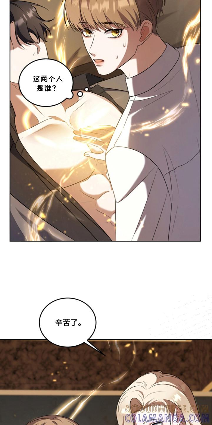 《双重血脉》第27章：辅助 第9页