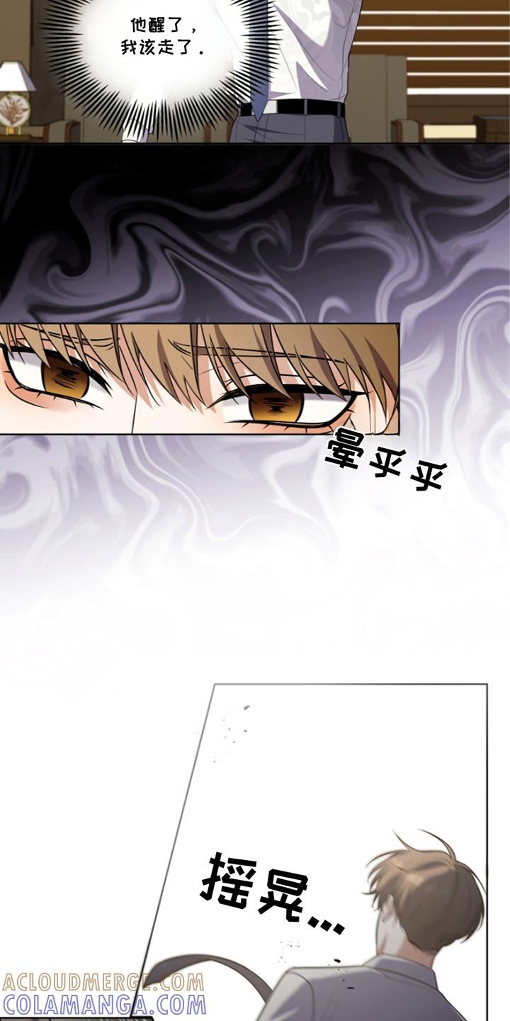 《双重血脉》第28章：晕倒 第13页
