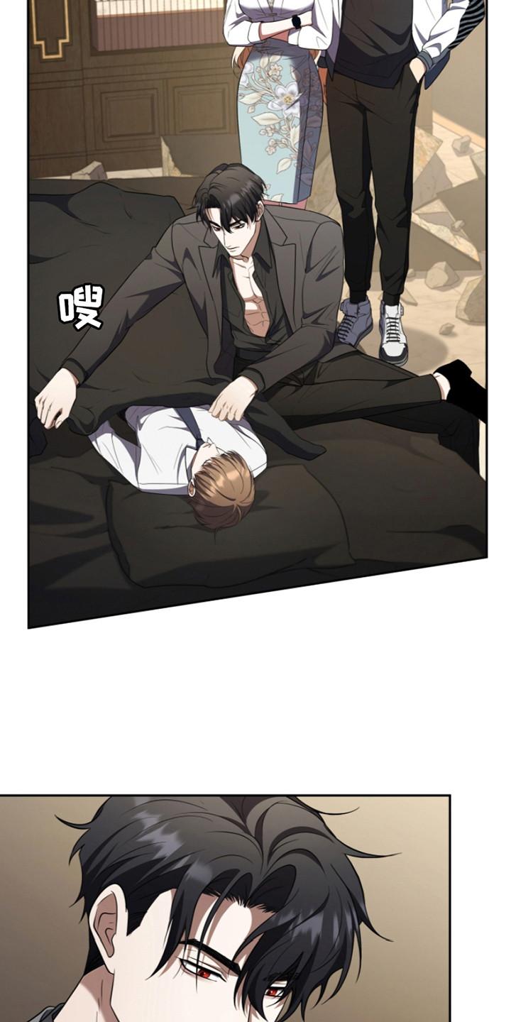 《双重血脉》第28章：晕倒 第18页