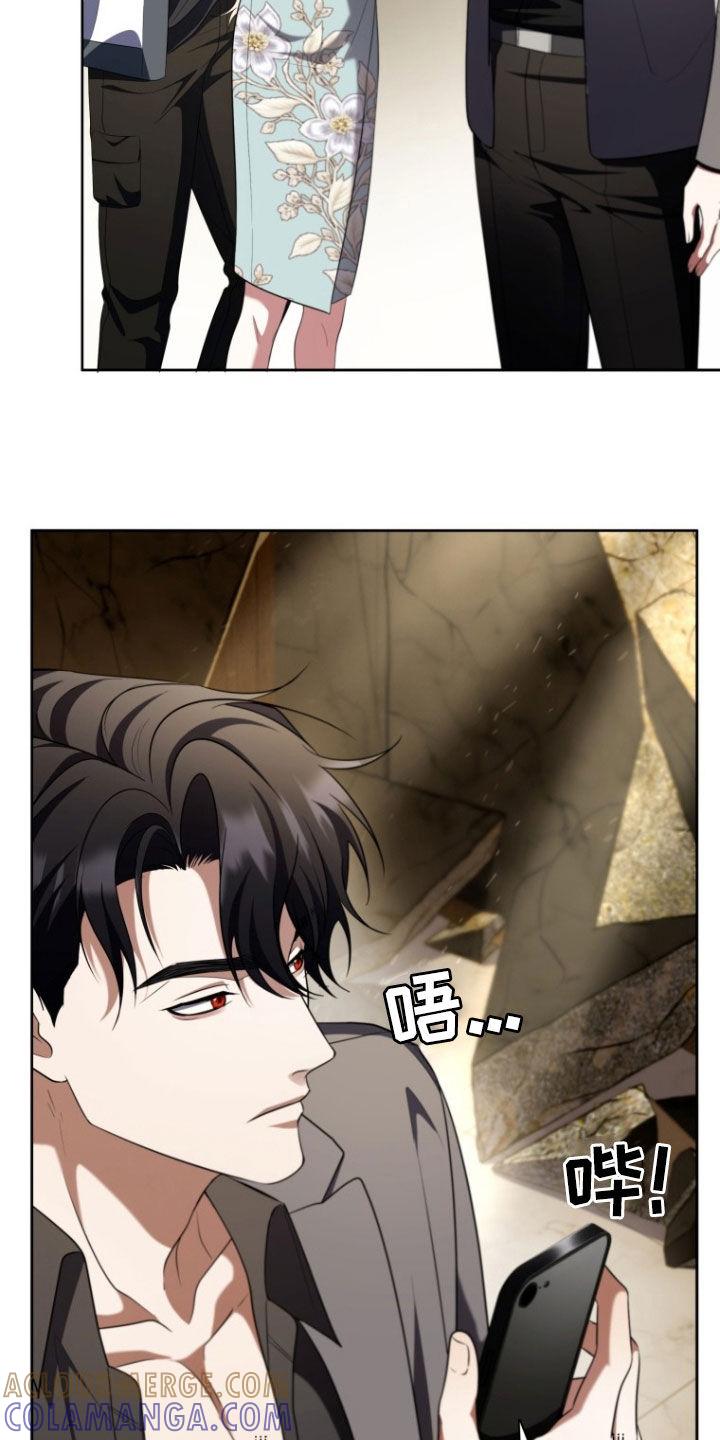 《双重血脉》第29章：昏迷不醒 第19页