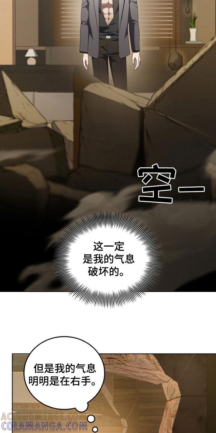 《双重血脉》第29章：昏迷不醒 第27页