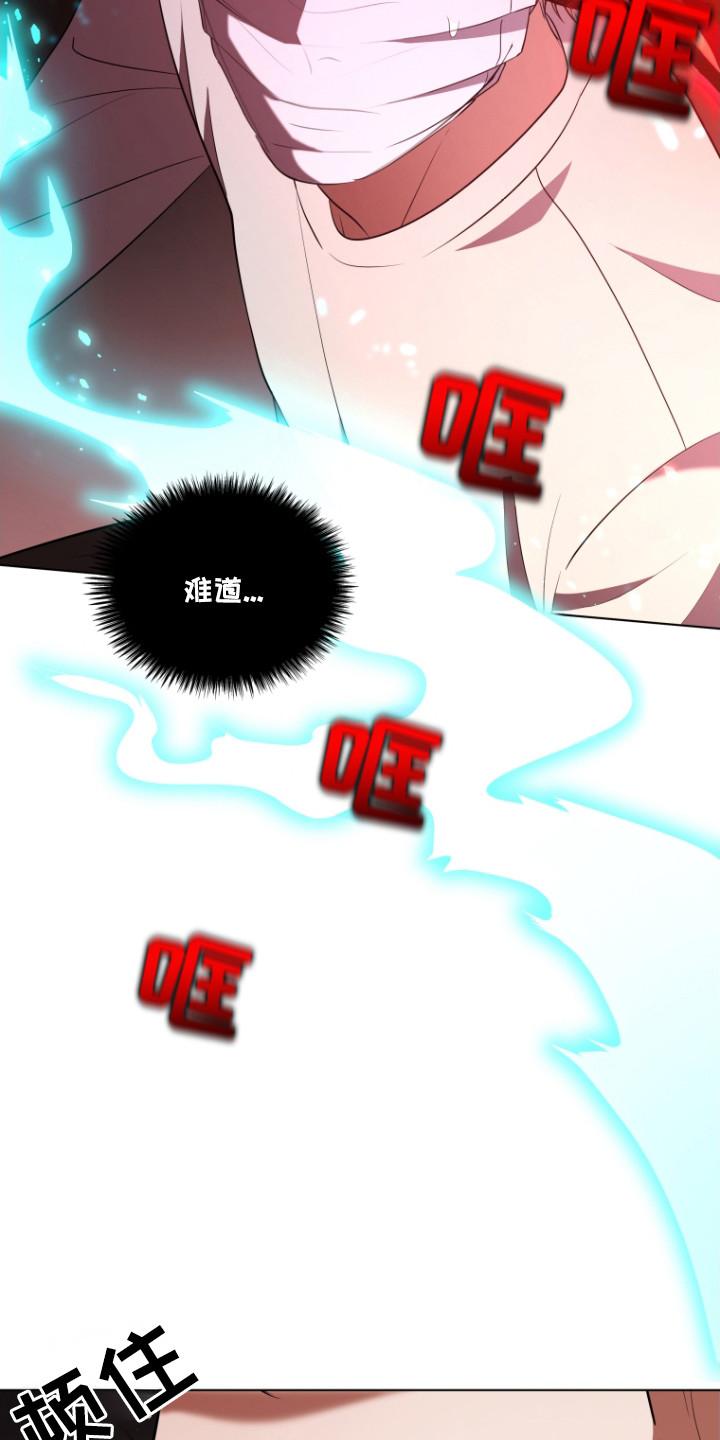 《双重血脉》第7章：契合度 第12页
