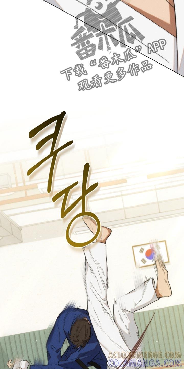 《卧底大佬》第86章：【第二季】尽情去爱吧（完结） 第13页