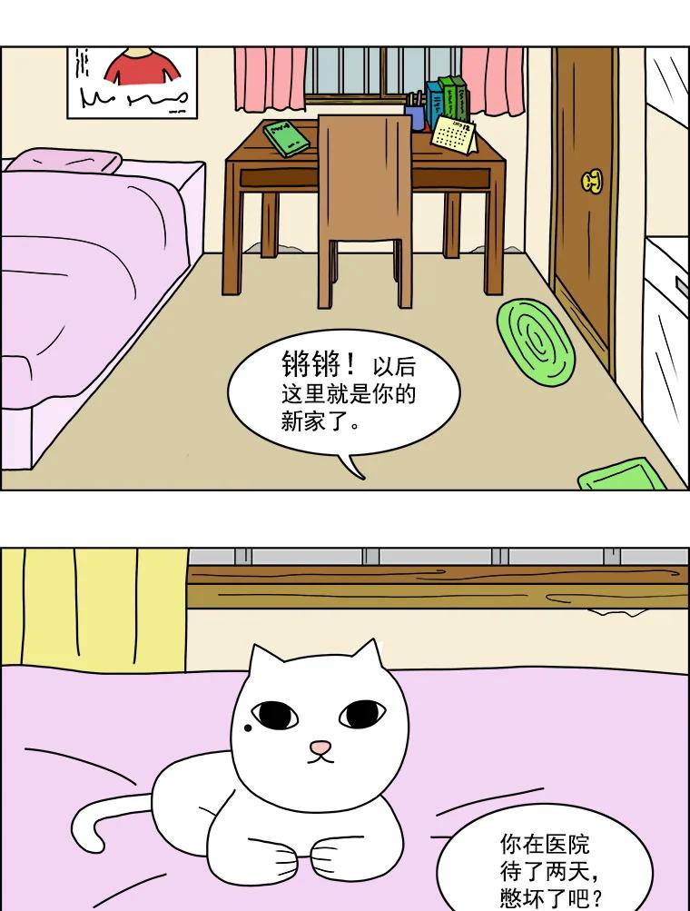 《双甲路边摊》10.比目鱼生鱼片和酸泡菜（2） 第3页