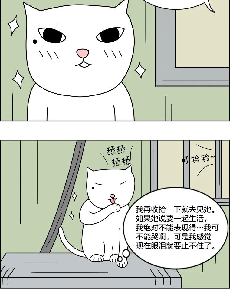 《双甲路边摊》10.比目鱼生鱼片和酸泡菜（2） 第51页