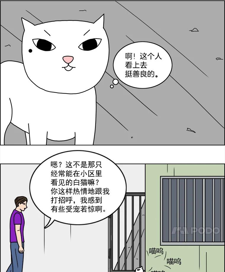 《双甲路边摊》11.比目鱼生鱼片和酸泡菜（3） 第11页