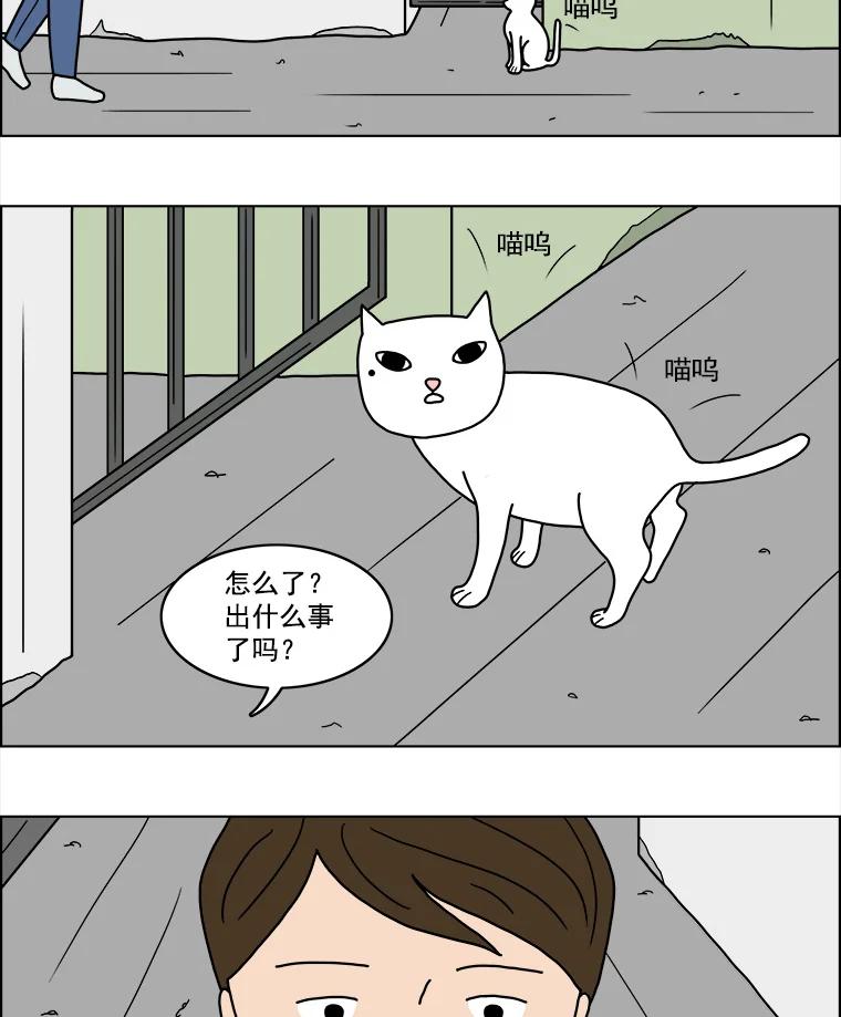 《双甲路边摊》11.比目鱼生鱼片和酸泡菜（3） 第12页