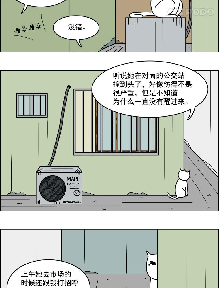 《双甲路边摊》11.比目鱼生鱼片和酸泡菜（3） 第5页
