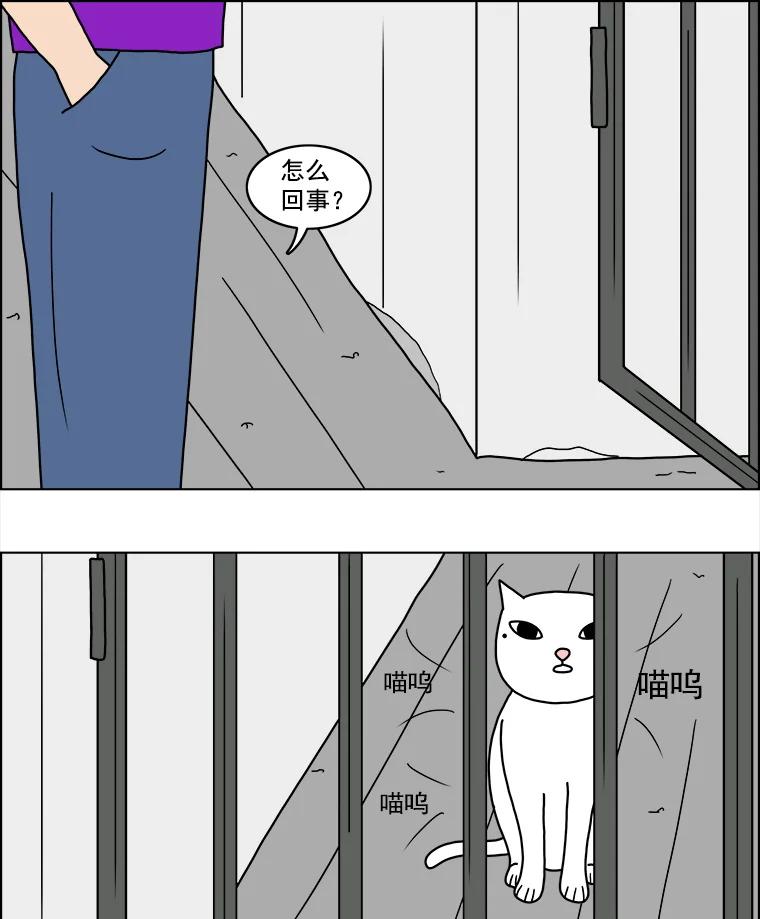 《双甲路边摊》11.比目鱼生鱼片和酸泡菜（3） 第14页