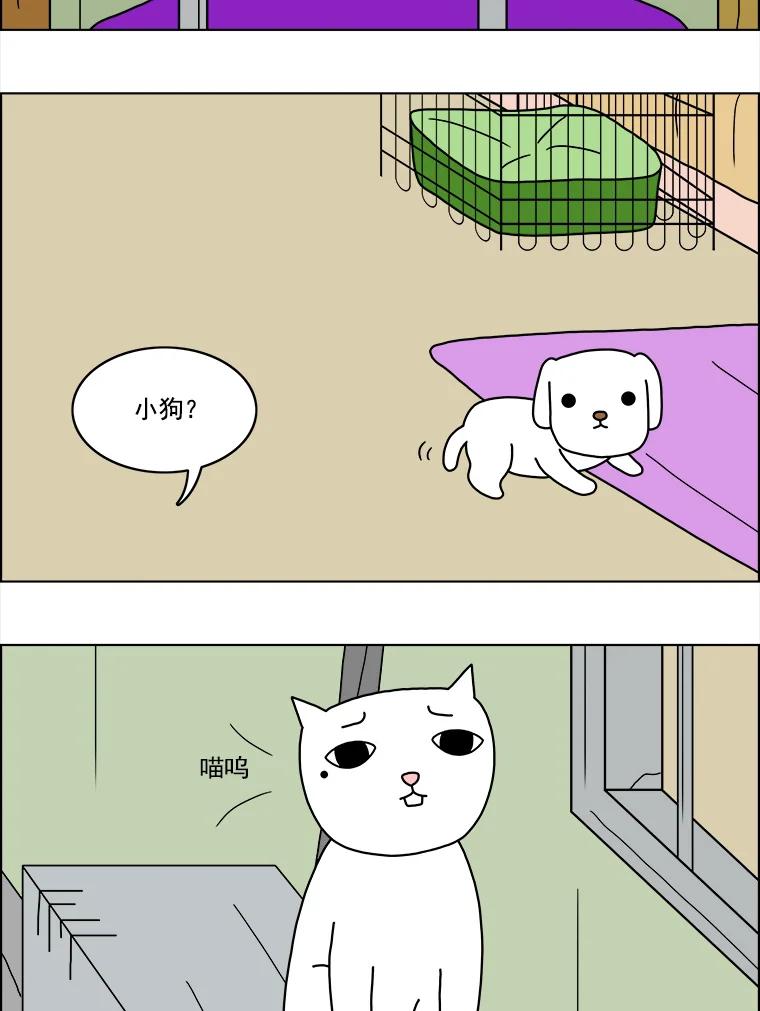 《双甲路边摊》11.比目鱼生鱼片和酸泡菜（3） 第21页
