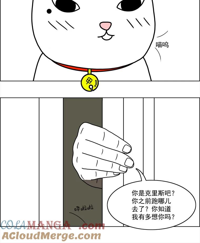 《双甲路边摊》12.比目鱼生鱼片和酸泡菜（最终篇） 第19页