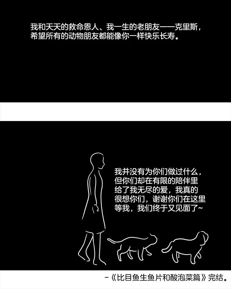 《双甲路边摊》12.比目鱼生鱼片和酸泡菜（最终篇） 第51页