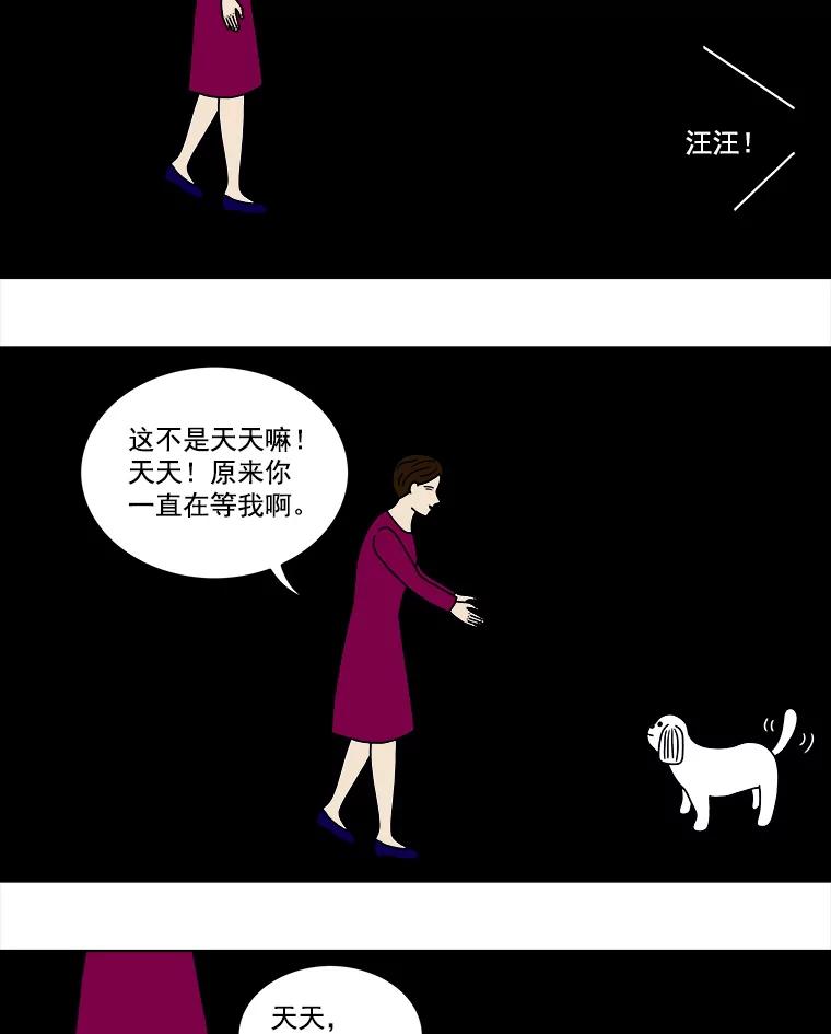 《双甲路边摊》12.比目鱼生鱼片和酸泡菜（最终篇） 第47页