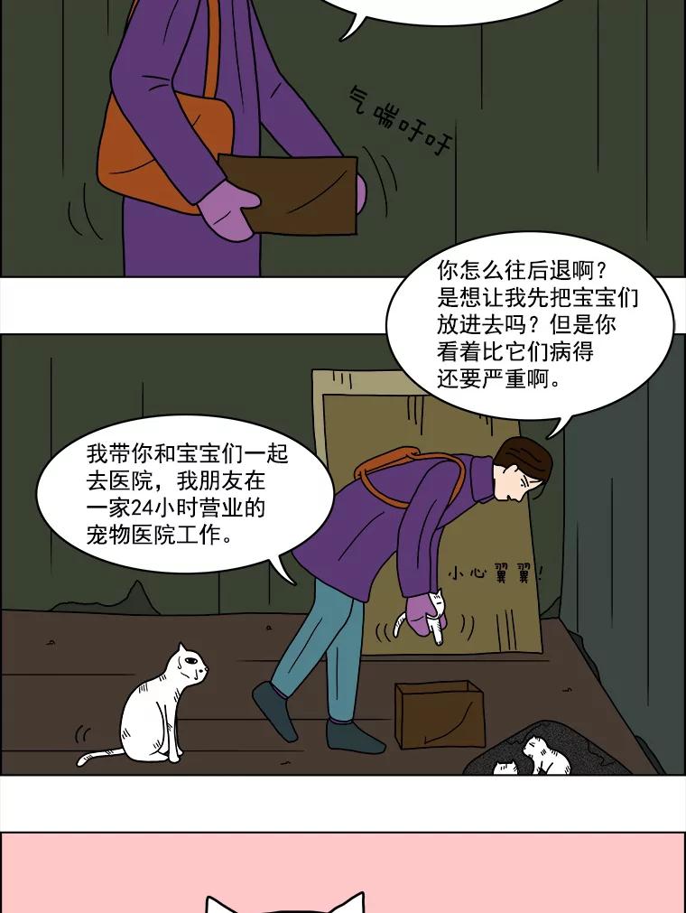 《双甲路边摊》9.比目鱼生鱼片和酸泡菜（1） 第48页
