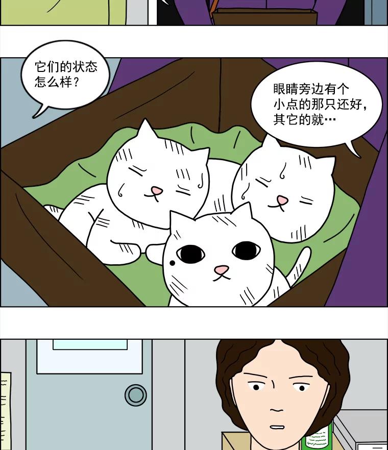 《双甲路边摊》9.比目鱼生鱼片和酸泡菜（1） 第53页