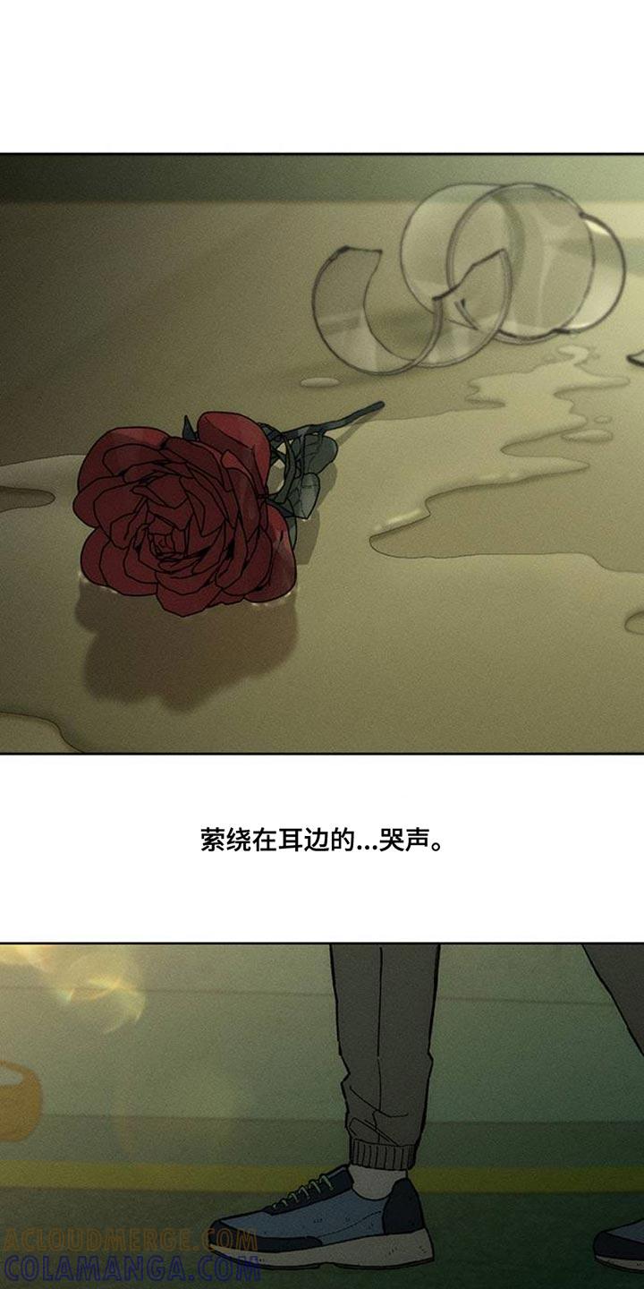 枯萎的花伤心的泪 第51章：我的初恋 第17页