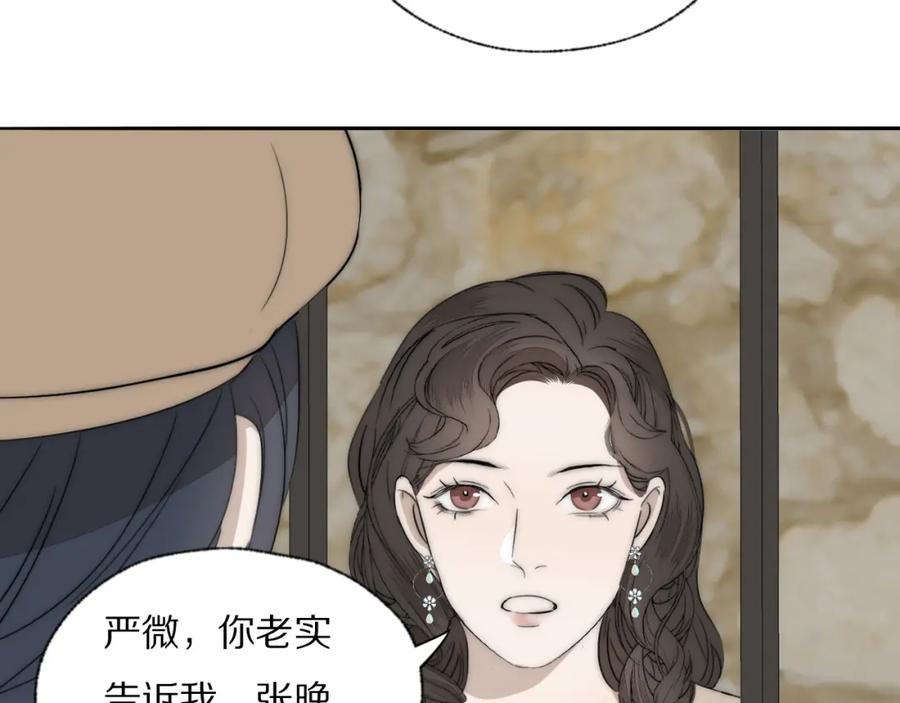 《双镜》第33话 严微被捕 第74页