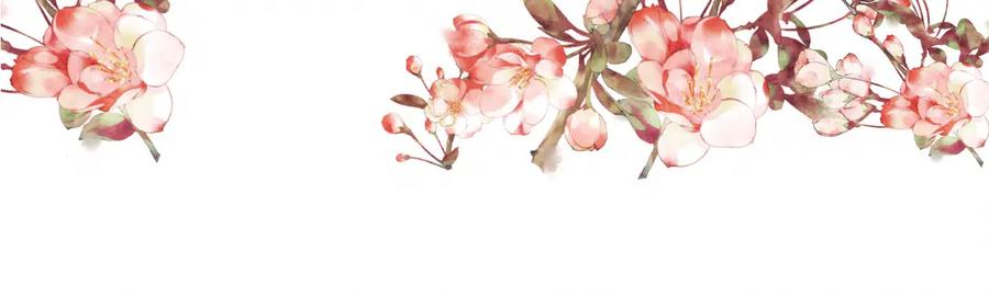 《双镜》第4话 收留 第67页