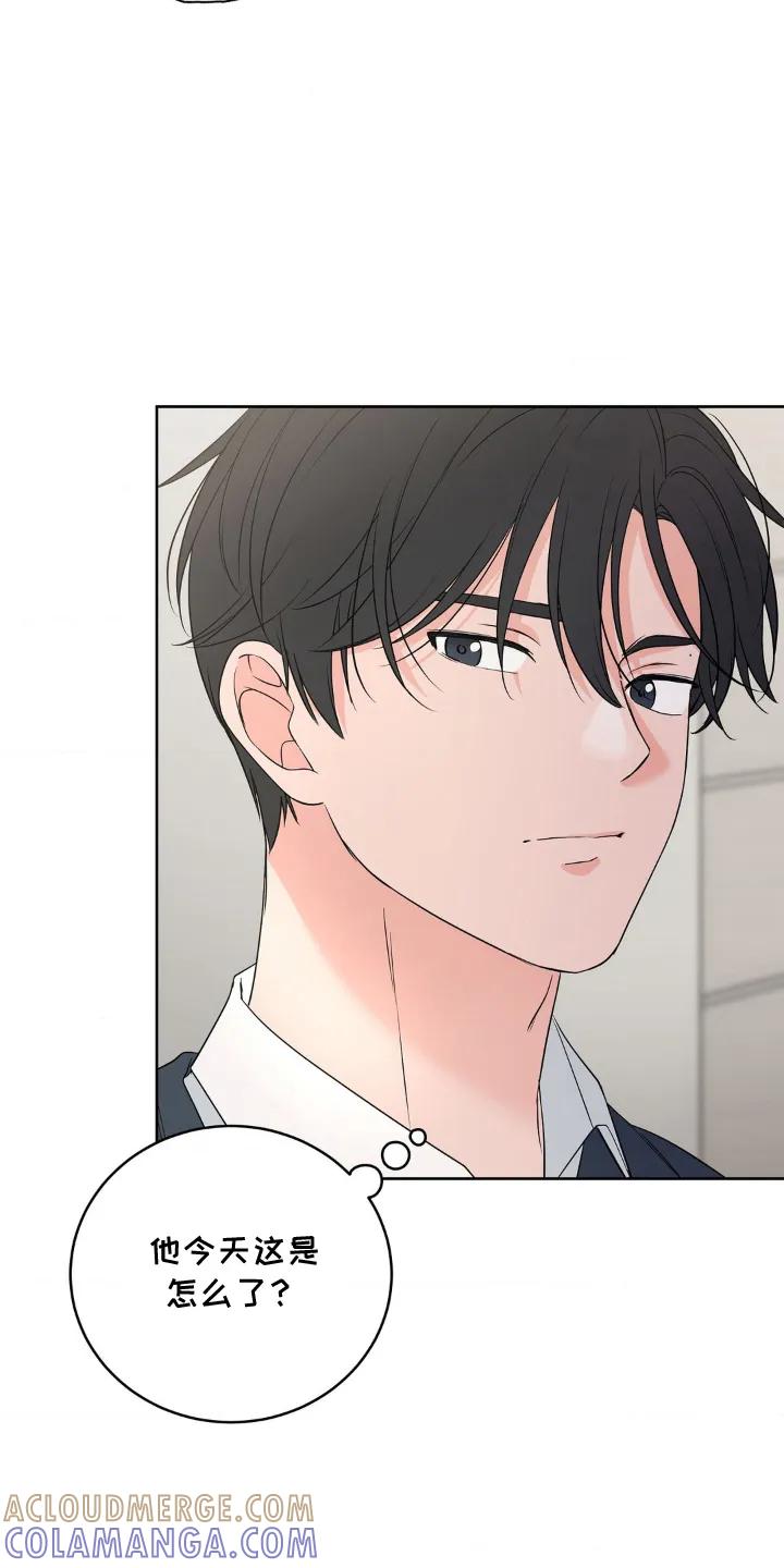 《双生痕》第3章：隐藏自己 第17页
