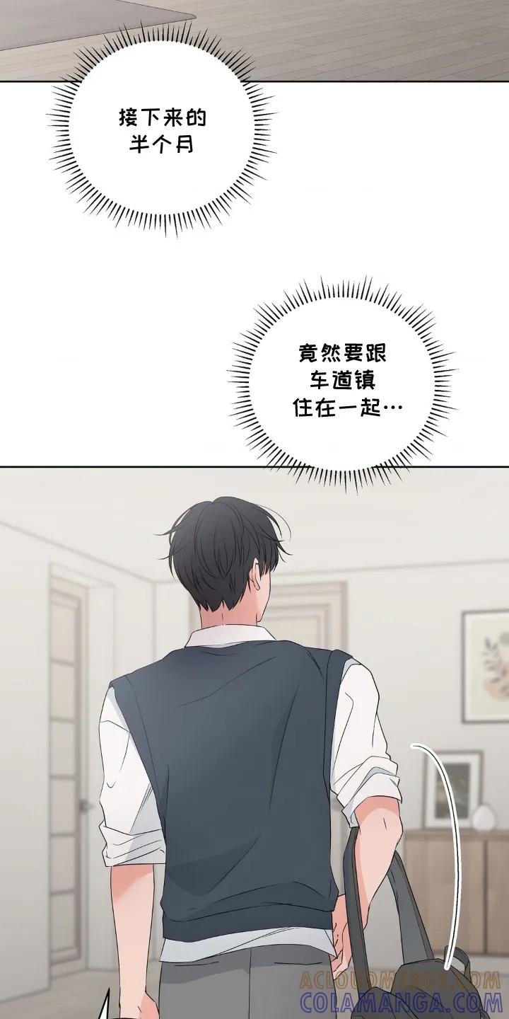 《双生痕》第3章：隐藏自己 第13页