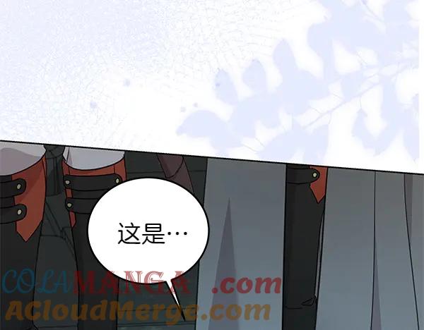 坏蛋们的掌上千金 - 第124话 找到修雷 - 第189张图